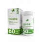  NaturalSupp Choline Vitamin B4 60 