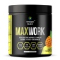   Roden Max MaxWork  200 